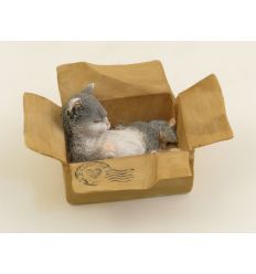 CAT IN THE BOX PIGRO *SK*12 (D3582)