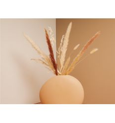 Vaso con fiori (cl25016)