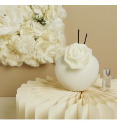 Profumatore medio cuore (cl26017)