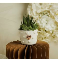 Vasetto cuoricini con applicazione oro rosa con piantina (cl26281)