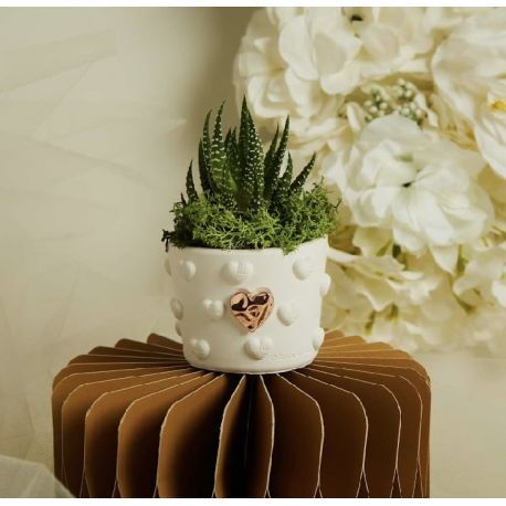 Vasetto cuoricini con applicazione oro rosa con piantina (cl26281)