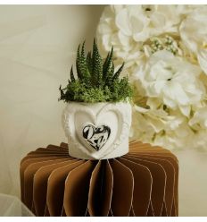 Vasetto cuore con applicazione argento con piantina (cl26285)