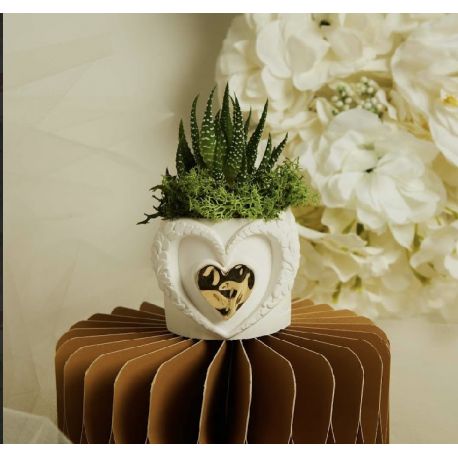 Vasetto cuore con applicazione oro con piantina (cl26286)