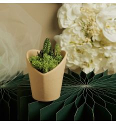 Vasetto marrone cuore con piantina e muschio (cl26012)