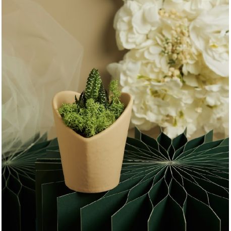 Vasetto marrone cuore con piantina e muschio (cl26012)